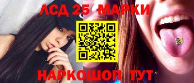 альфа пвп Новодвинск