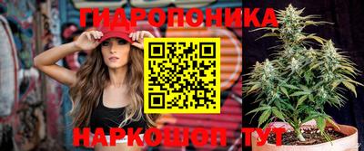 метадон Новозыбков