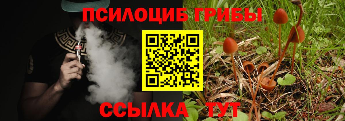 Холмск  Галлюциногенные грибы ЛСД  Вход с VPN 