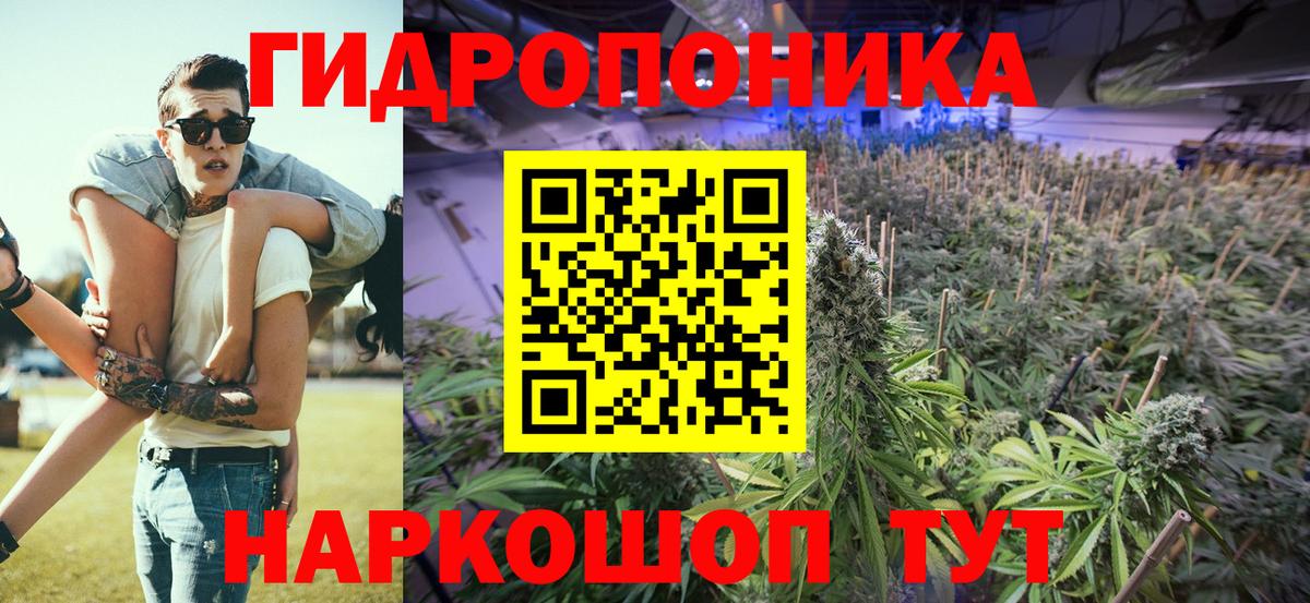 Канабис OG Kush Холмск